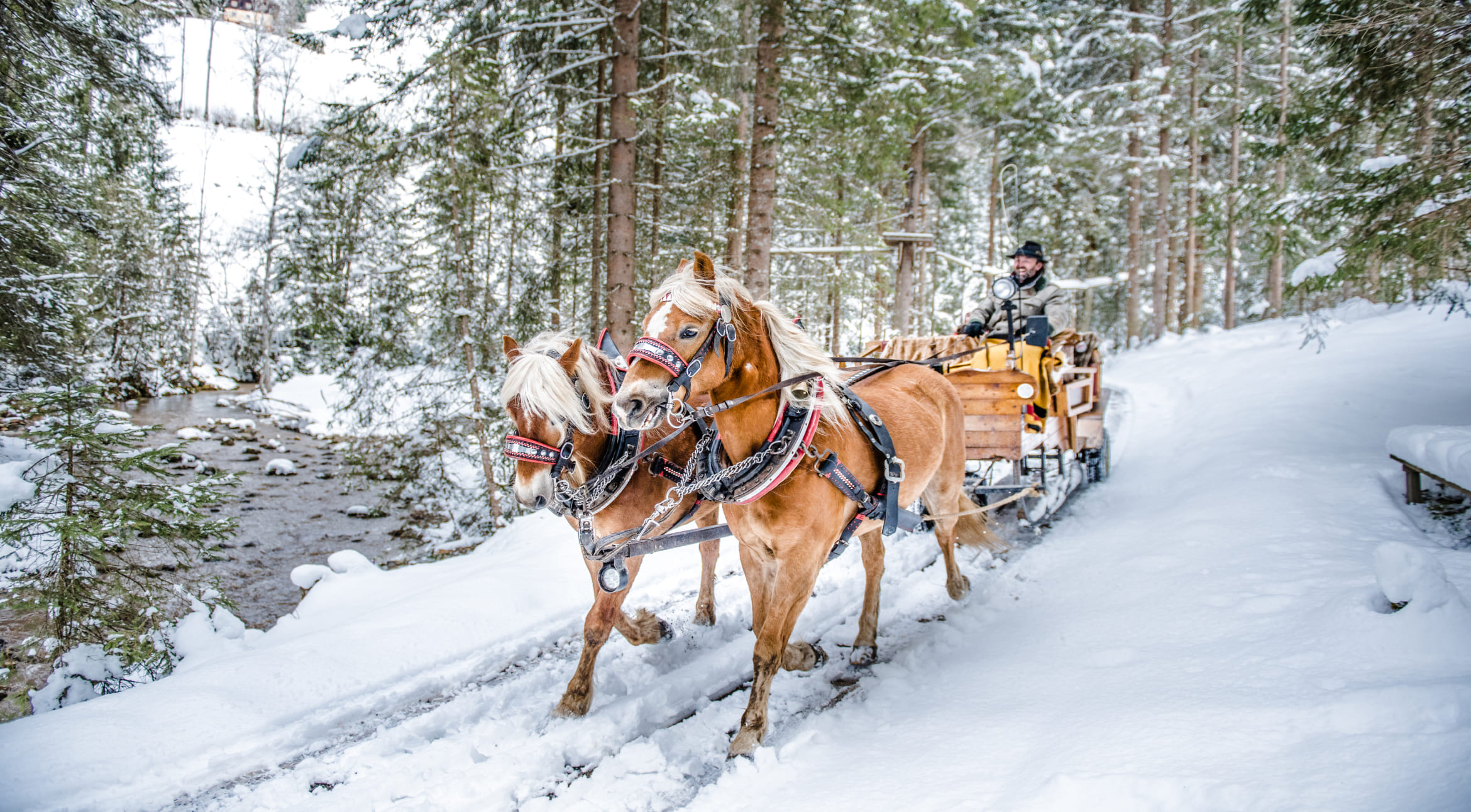 Pferdeschlitten im Winter © Altenmarkt-Zauchensee Tourismus - Nadia Jabli Photography